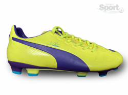 Lisovky 2014 PUMA SAMPLE EVOPOWER 3 FG8