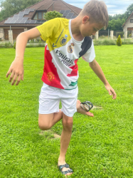 Dres Ronaldo Fan Edice